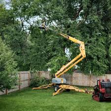 Best Artificial Turf Installation  in Muscoy, CA